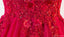 Voir Par la Rougeur le Lacet Rose Des Robes de Bal d'étudiants de Soir de ligne, des Longues Robes de Bal d'étudiants du Parti de 2018, 17282