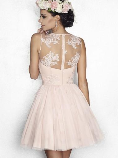 Pale Pink See Durch Spitze Billig Kurze Homecoming Dresses Online, CM623